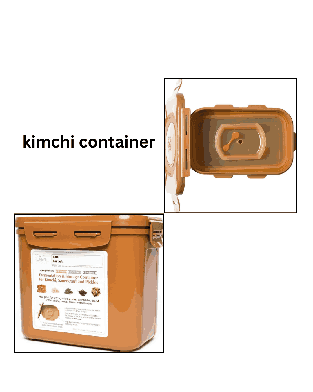 kimchi formatted container for traditional recipe