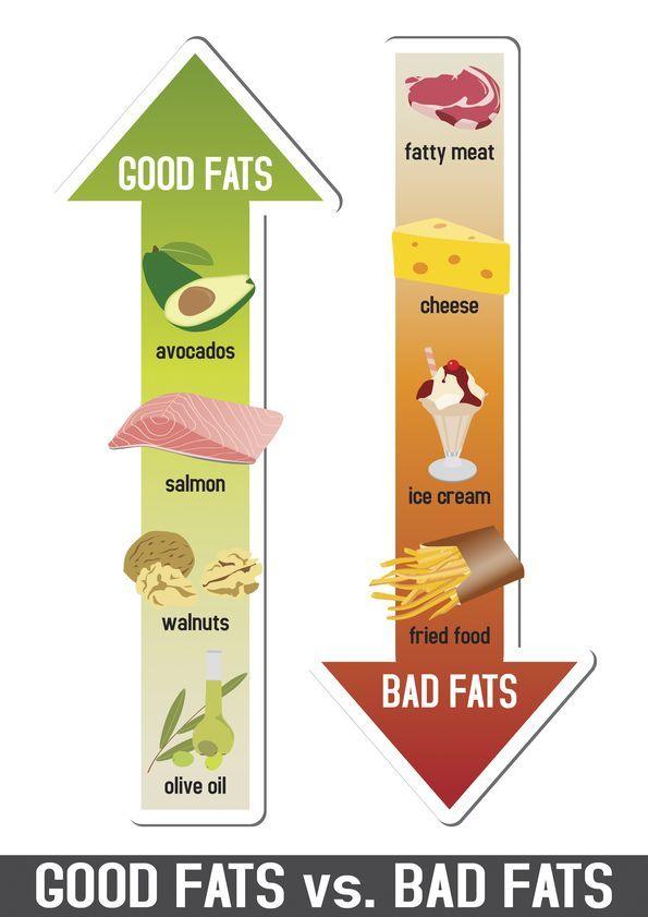 understanding good and bad fats