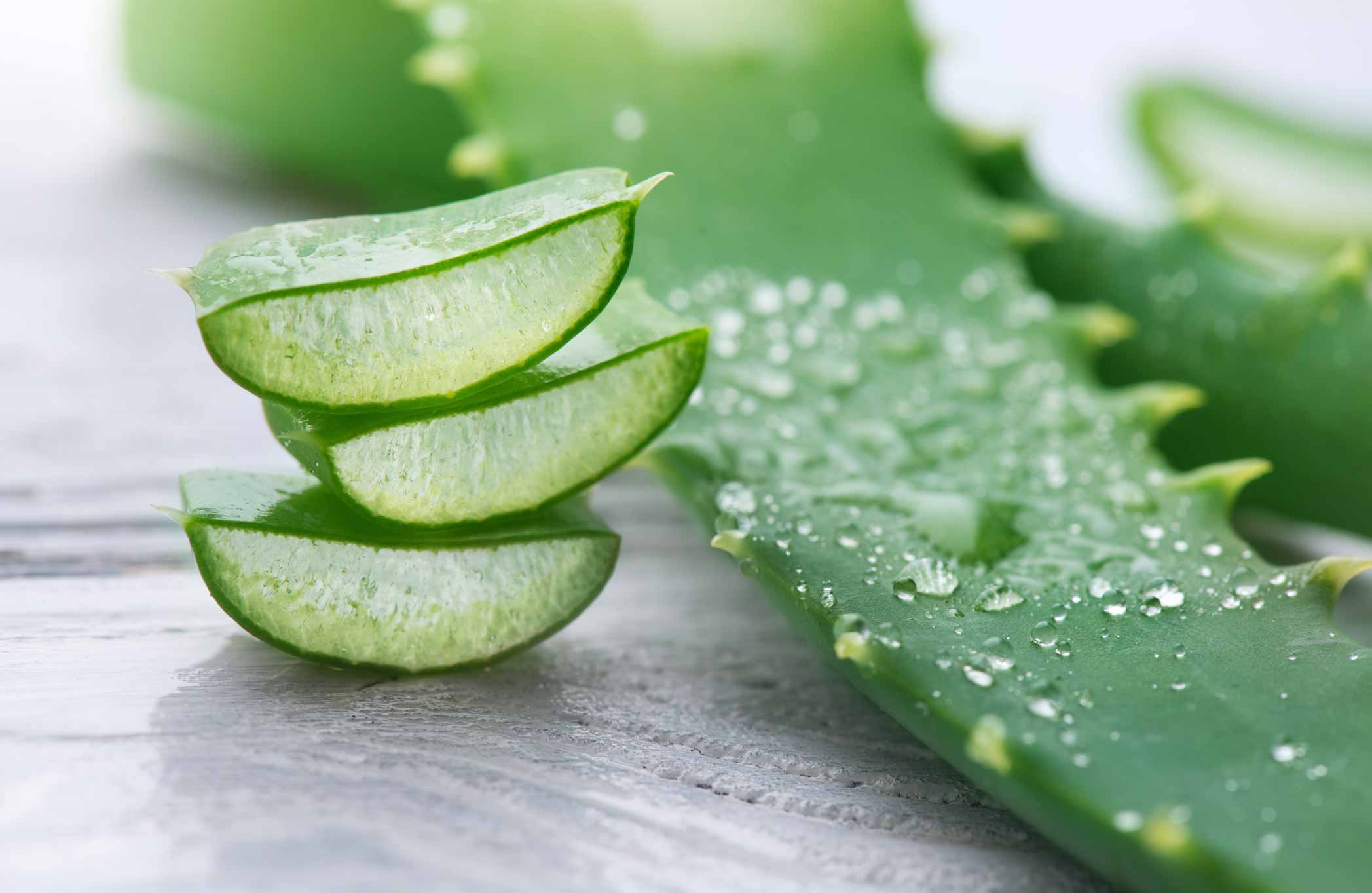 aloe vera benefits